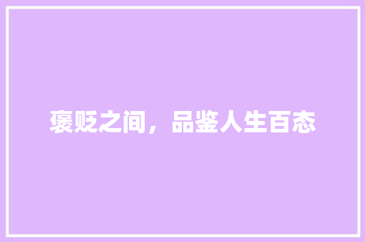 褒贬之间，品鉴人生百态