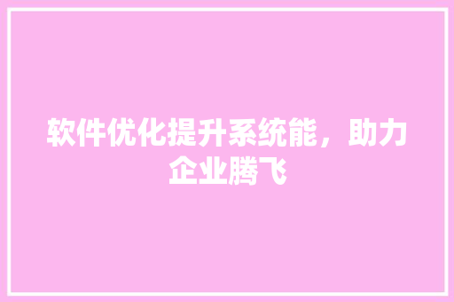 软件优化提升系统能，助力企业腾飞