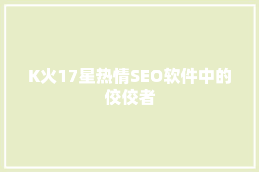 K火17星热情SEO软件中的佼佼者