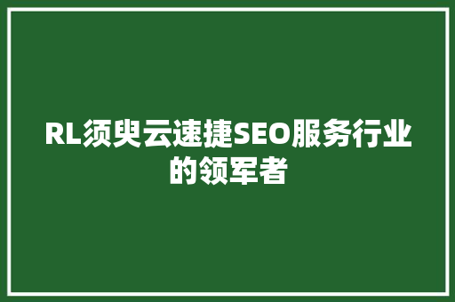 RL须臾云速捷SEO服务行业的领军者