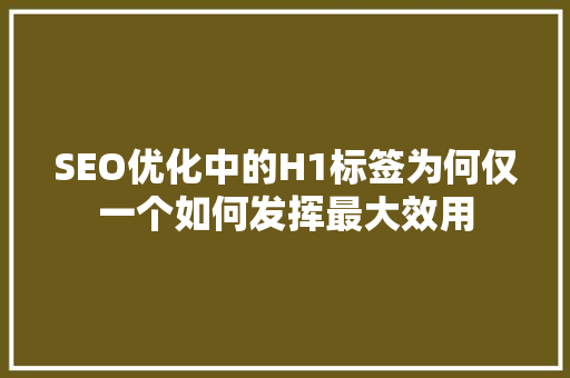 SEO优化中的H1标签为何仅一个如何发挥最大效用