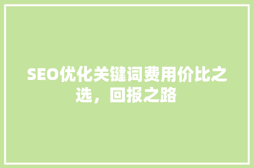 SEO优化关键词费用价比之选，回报之路