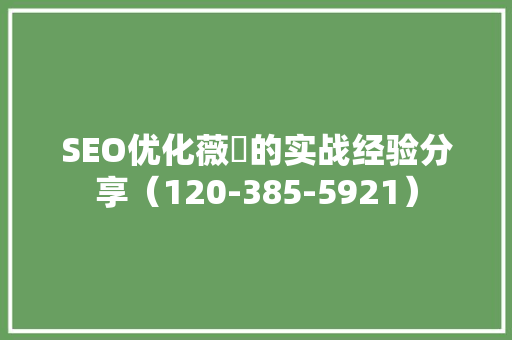 SEO优化薇鈊的实战经验分享（120-385-5921） Web前端