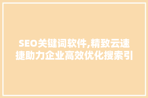 SEO关键词软件,精致云速捷助力企业高效优化搜索引擎排名