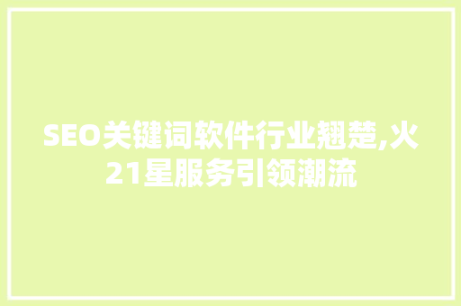 SEO关键词软件行业翘楚,火21星服务引领潮流