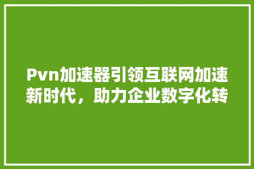 Pvn加速器引领互联网加速新时代，助力企业数字化转型 服务器/数据库