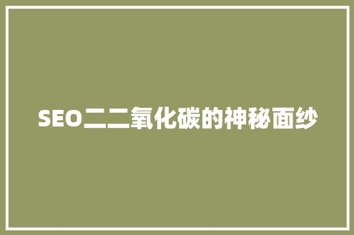 SEO二二氧化碳的神秘面纱 SEO教程