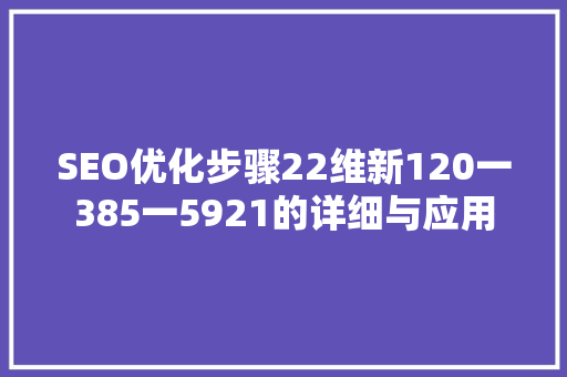 SEO优化步骤22维新120一385一5921的详细与应用
