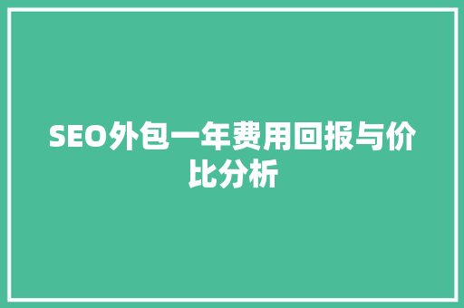 SEO外包一年费用回报与价比分析