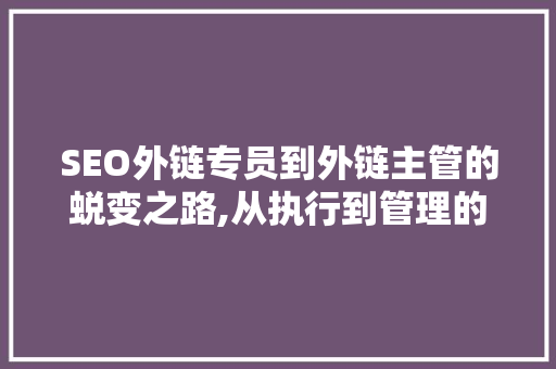 SEO外链专员到外链主管的蜕变之路,从执行到管理的华丽转身 服务器/数据库