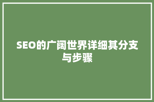 SEO的广阔世界详细其分支与步骤