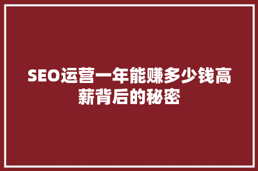 SEO运营一年能赚多少钱高薪背后的秘密