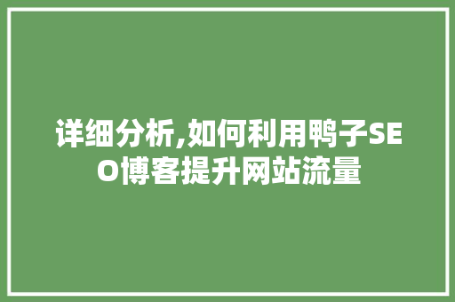 详细分析,如何利用鸭子SEO博客提升网站流量