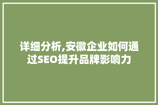 详细分析,安徽企业如何通过SEO提升品牌影响力