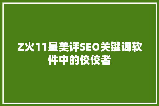 Z火11星美评SEO关键词软件中的佼佼者