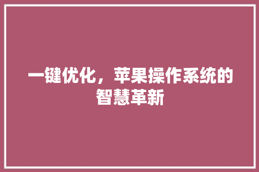 一键优化，苹果操作系统的智慧革新