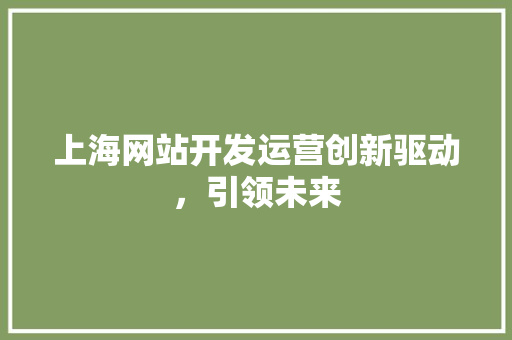 上海网站开发运营创新驱动，引领未来