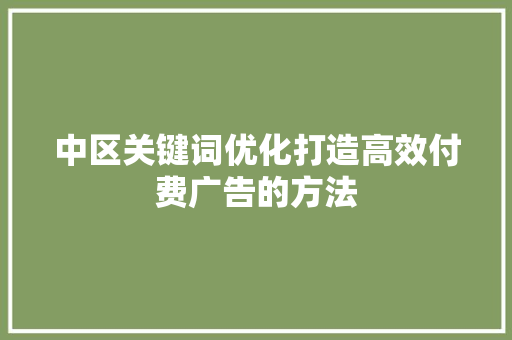 中区关键词优化打造高效付费广告的方法