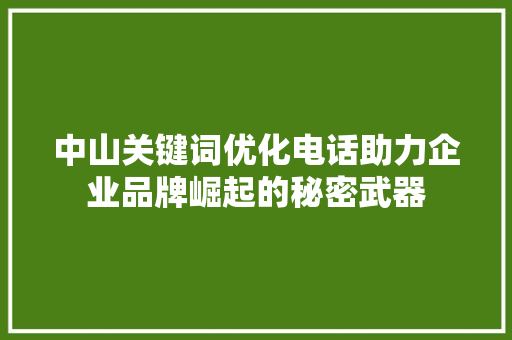 中山关键词优化电话助力企业品牌崛起的秘密武器