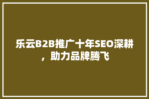 乐云B2B推广十年SEO深耕，助力品牌腾飞