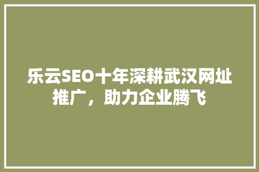 乐云SEO十年深耕武汉网址推广，助力企业腾飞