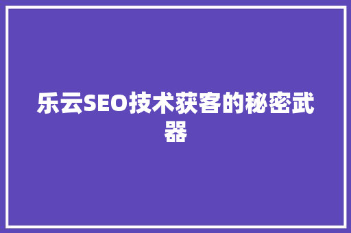 乐云SEO技术获客的秘密武器 WordPress教程