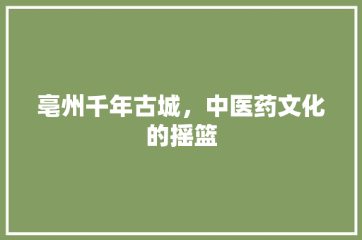 亳州千年古城，中医药文化的摇篮