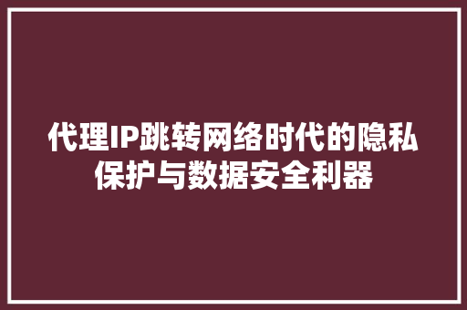 代理IP跳转网络时代的隐私保护与数据安全利器