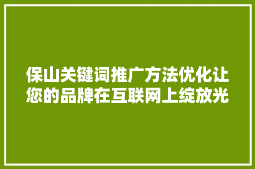 保山关键词推广方法优化让您的品牌在互联网上绽放光彩