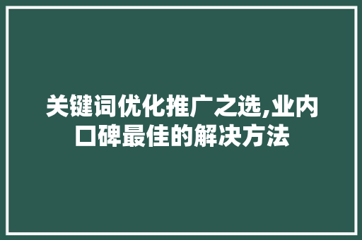关键词优化推广之选,业内口碑最佳的解决方法
