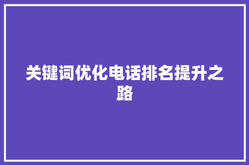 关键词优化电话排名提升之路