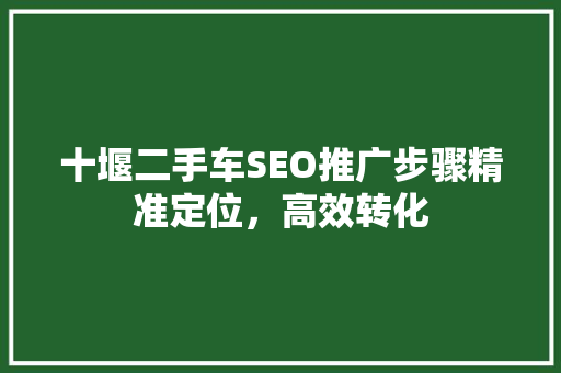 十堰二手车SEO推广步骤精准定位，高效转化