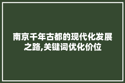 南京千年古都的现代化发展之路,关键词优化价位