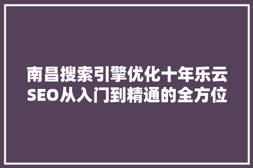 南昌搜索引擎优化十年乐云SEO从入门到精通的全方位