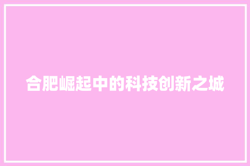 合肥崛起中的科技创新之城 建站教程