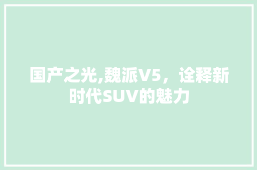 国产之光,魏派V5，诠释新时代SUV的魅力