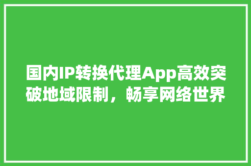 国内IP转换代理App高效突破地域限制，畅享网络世界