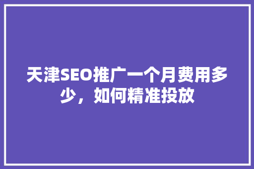 天津SEO推广一个月费用多少，如何精准投放