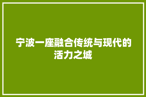 宁波一座融合传统与现代的活力之城