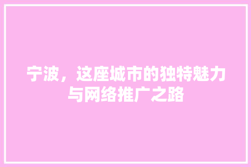 宁波，这座城市的独特魅力与网络推广之路