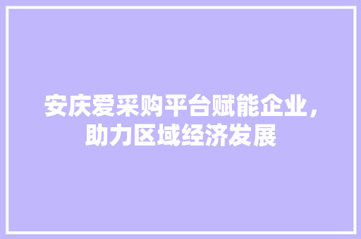 安庆爱采购平台赋能企业，助力区域经济发展