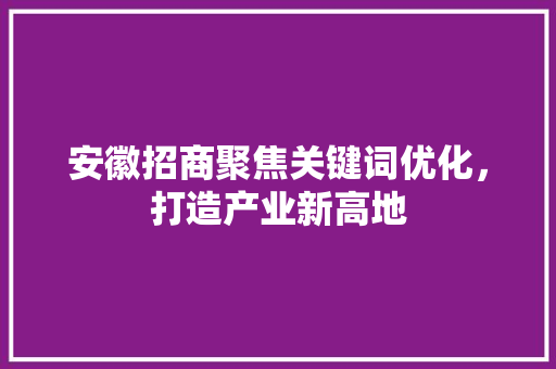 安徽招商聚焦关键词优化，打造产业新高地 WordPress教程