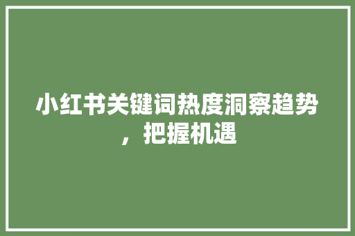 小红书关键词热度洞察趋势，把握机遇 建站教程
