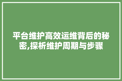 平台维护高效运维背后的秘密,探析维护周期与步骤