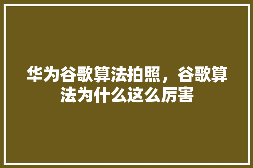 华为谷歌算法拍照，谷歌算法为什么这么厉害