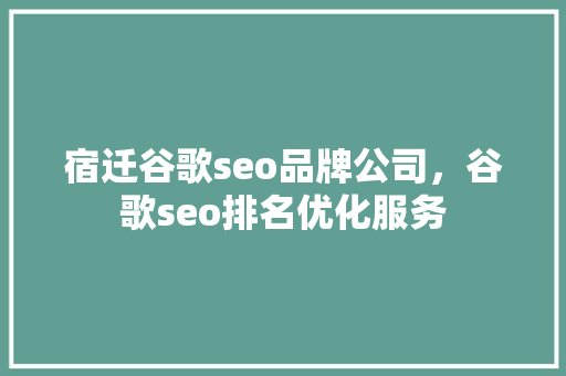 宿迁谷歌seo品牌公司，谷歌seo排名优化服务