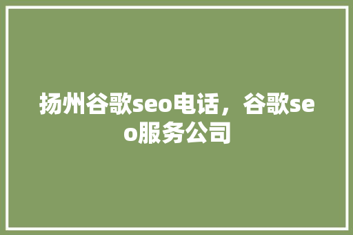扬州谷歌seo电话，谷歌seo服务公司