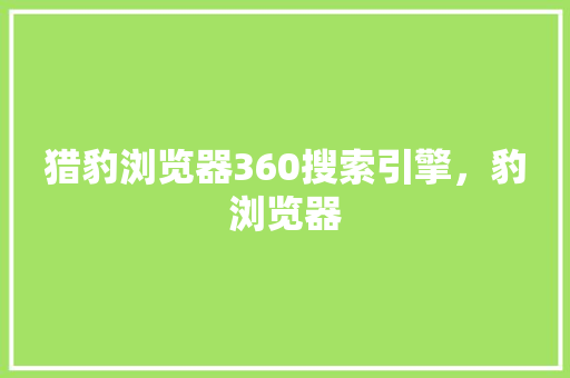 猎豹浏览器360搜索引擎，豹浏览器