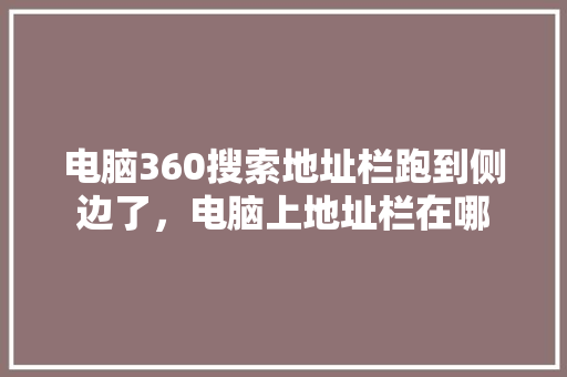 电脑360搜索地址栏跑到侧边了，电脑上地址栏在哪