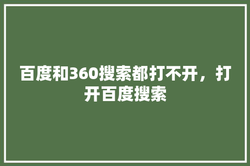 百度和360搜索都打不开，打开百度搜索